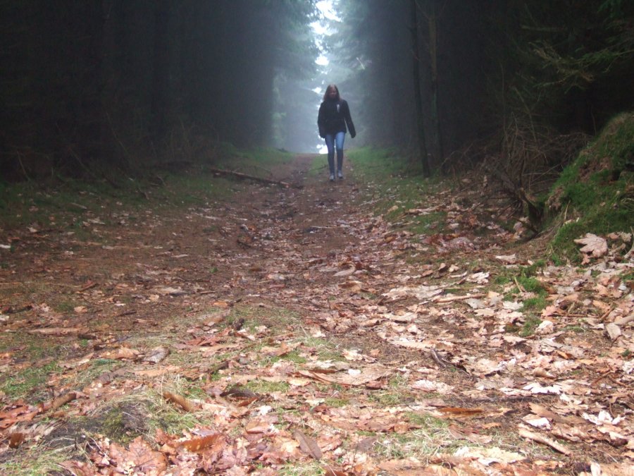 Skov efteraar Line